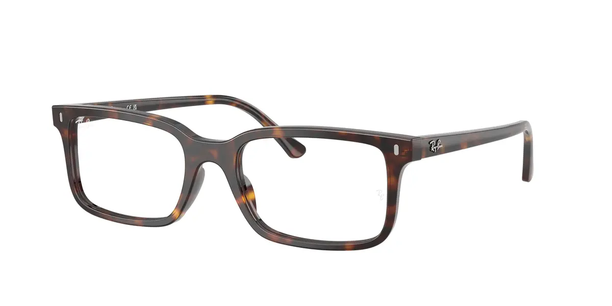 Ray-Ban 5445F Eyeglasses 1
