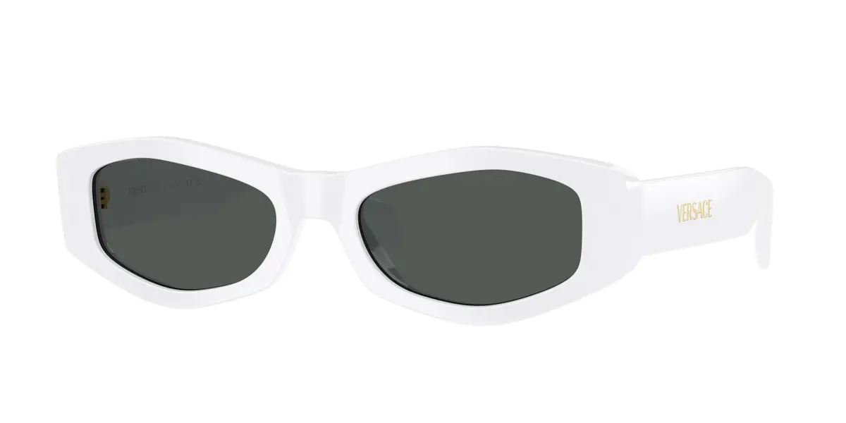 Versace 4487 Sunglasses 1