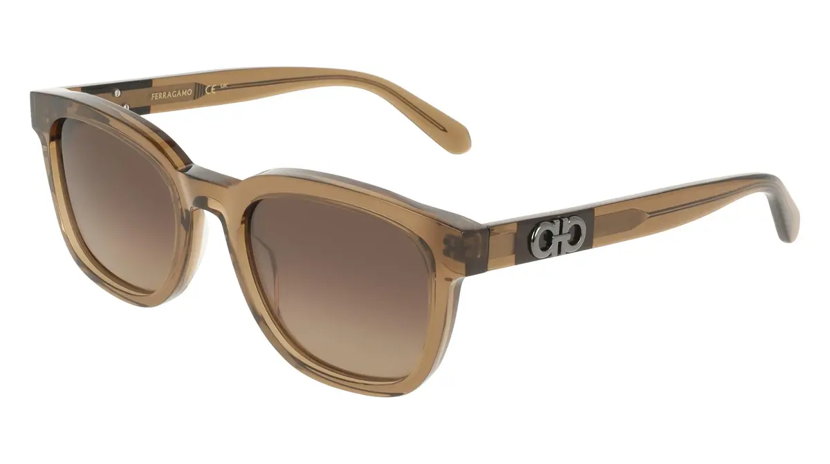 Salvatore Ferragamo Sf2107s Sunglasses 1