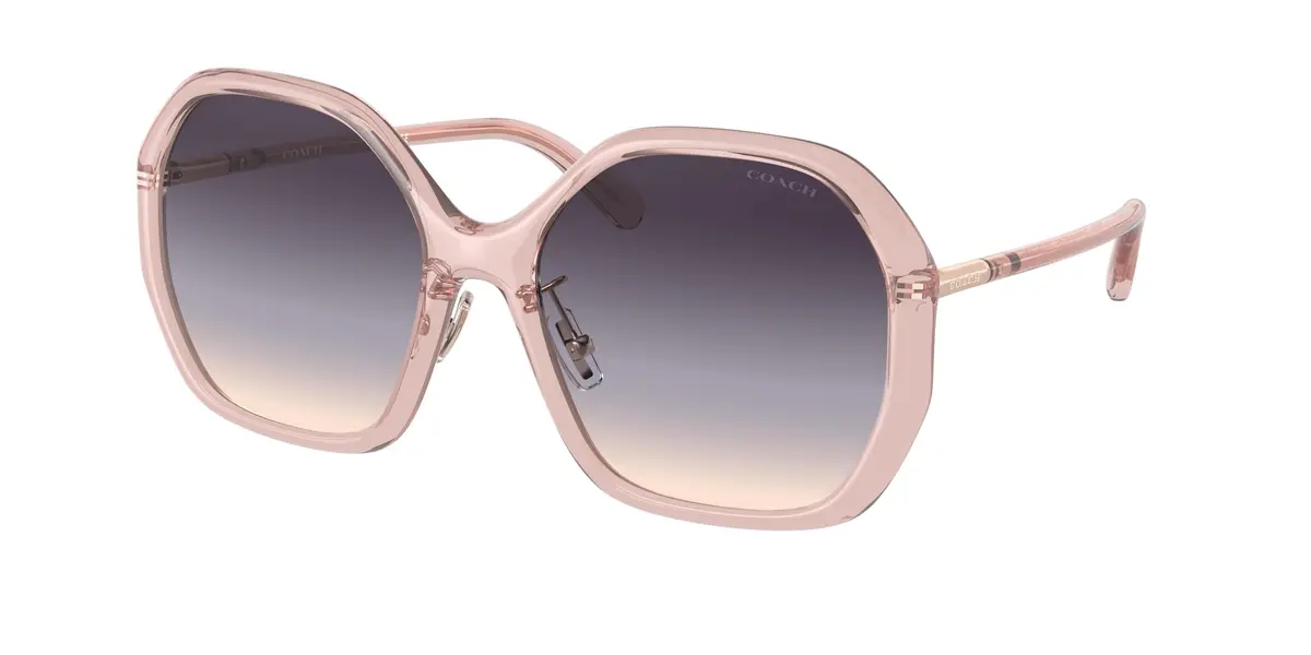Coach C9204 8343 Sunglasses 1