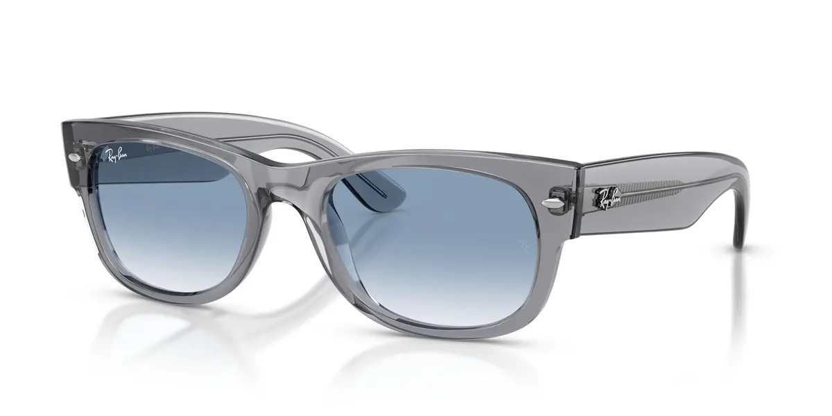 Ray-Ban Mega Wayfarer Ii 0832Sf Sunglasses 1
