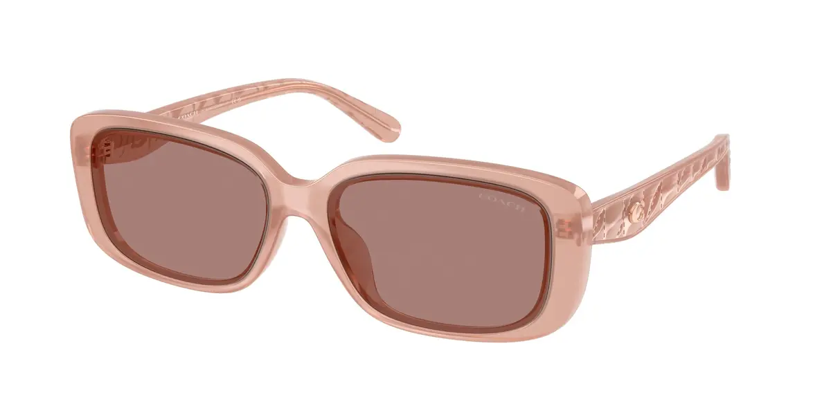 Coach Cby86 8444D Sunglasses 1