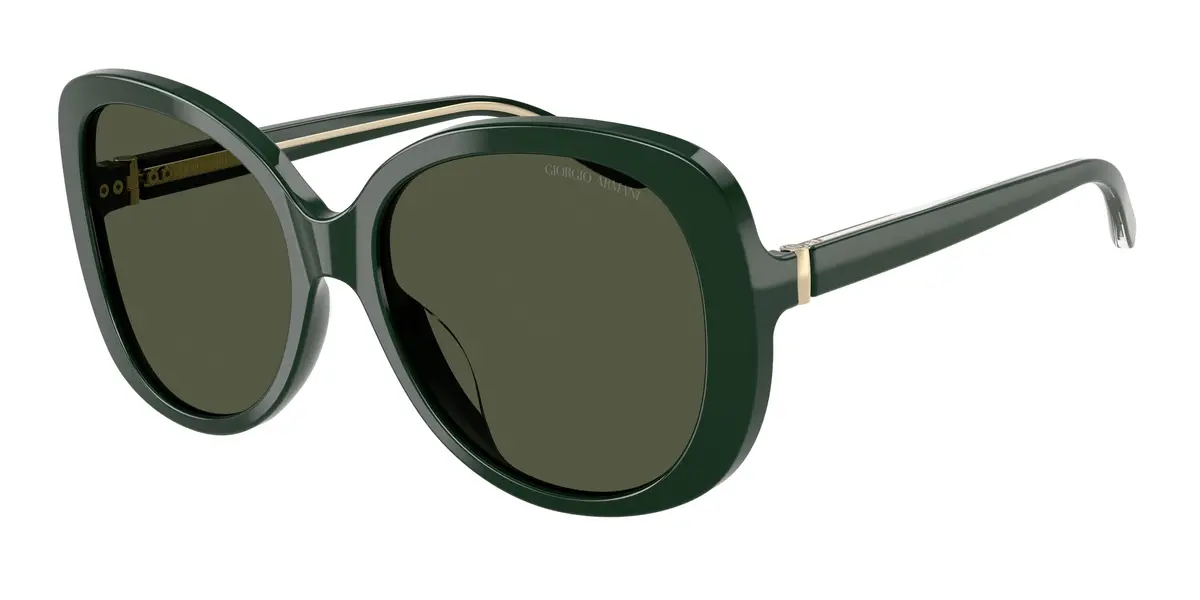 Giorgio Armani 8229U Sunglasses 1