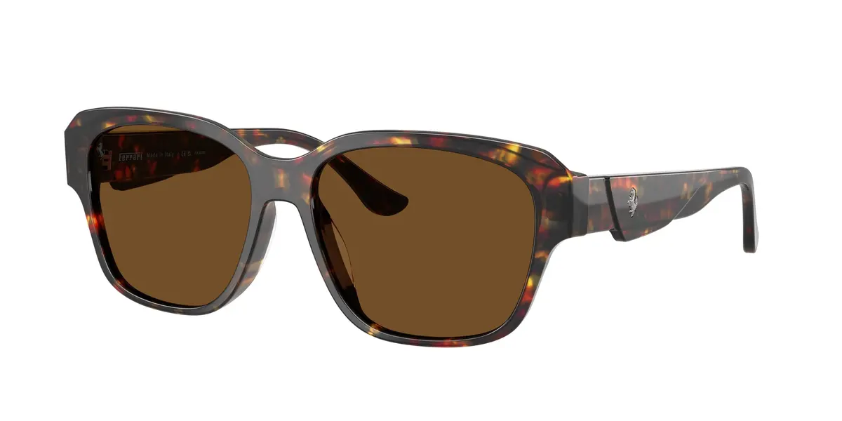 Ferrari 2016D Sunglasses 1