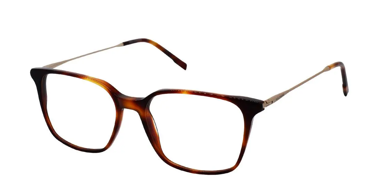 Moleskine 1252 Eyeglasses 1