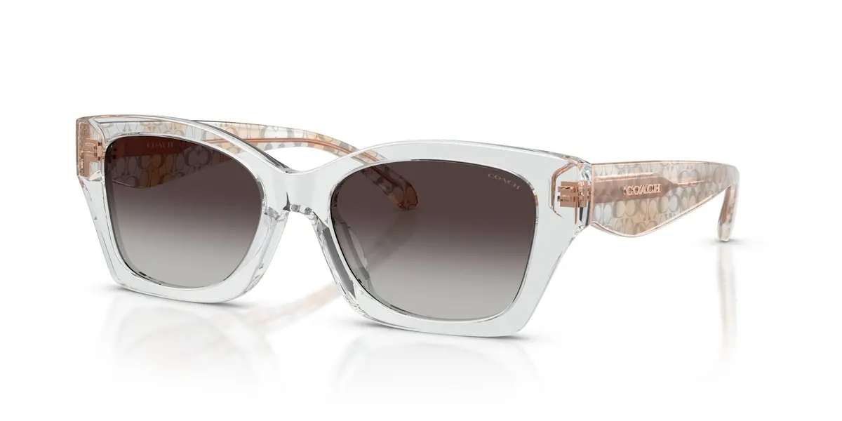 Coach Cdp49 8451U Sunglasses 1