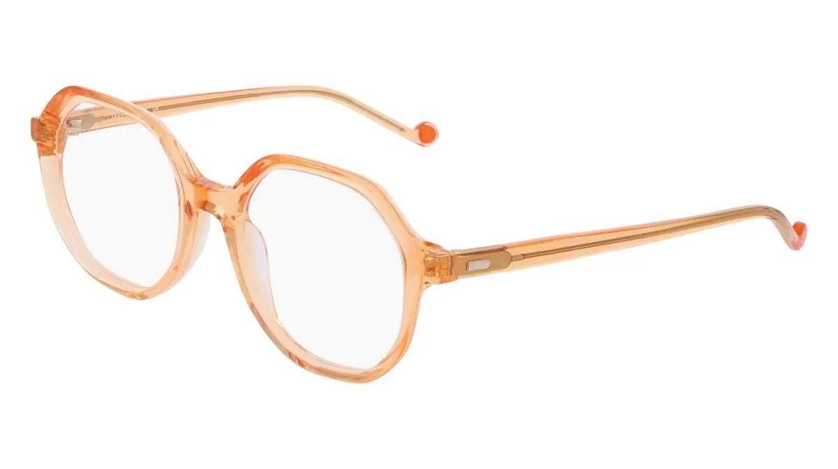 Pure P 6010 Eyeglasses 1
