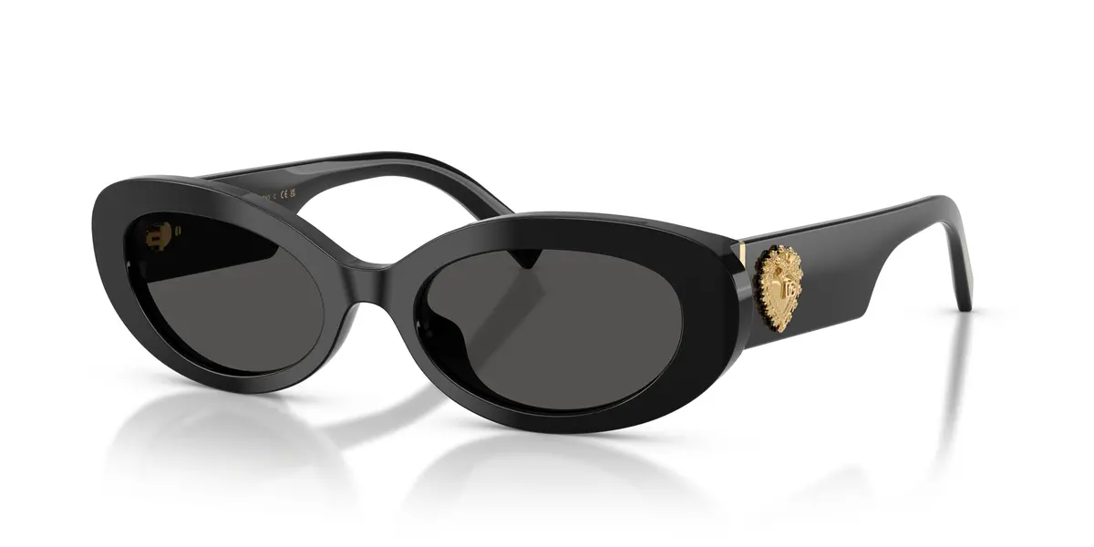 Dolce & Gabbana 4537 Sunglasses 1