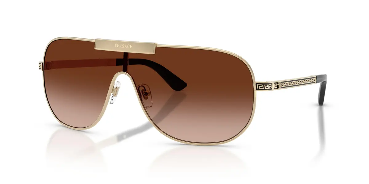 Versace 2293 Sunglasses 1