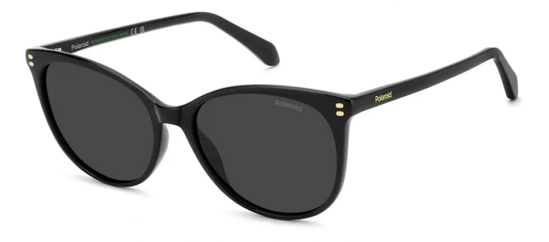 Polaroid Core Pld4200 Sunglasses 1