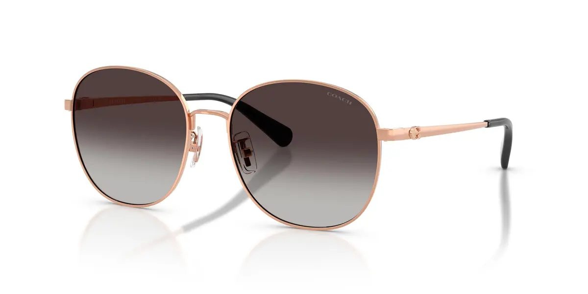 Coach Cdp39 7189 Sunglasses 1