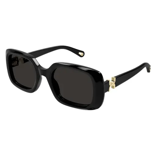 Chloe Ch0333s Sunglasses 1