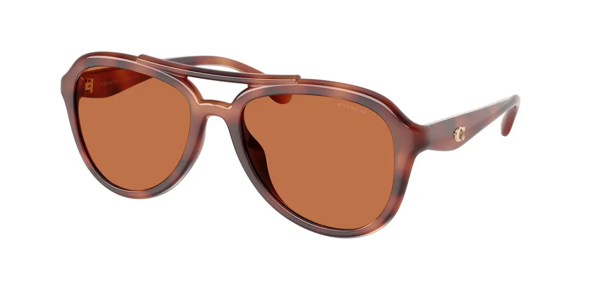 Coach Cw183 8406U Sunglasses 1