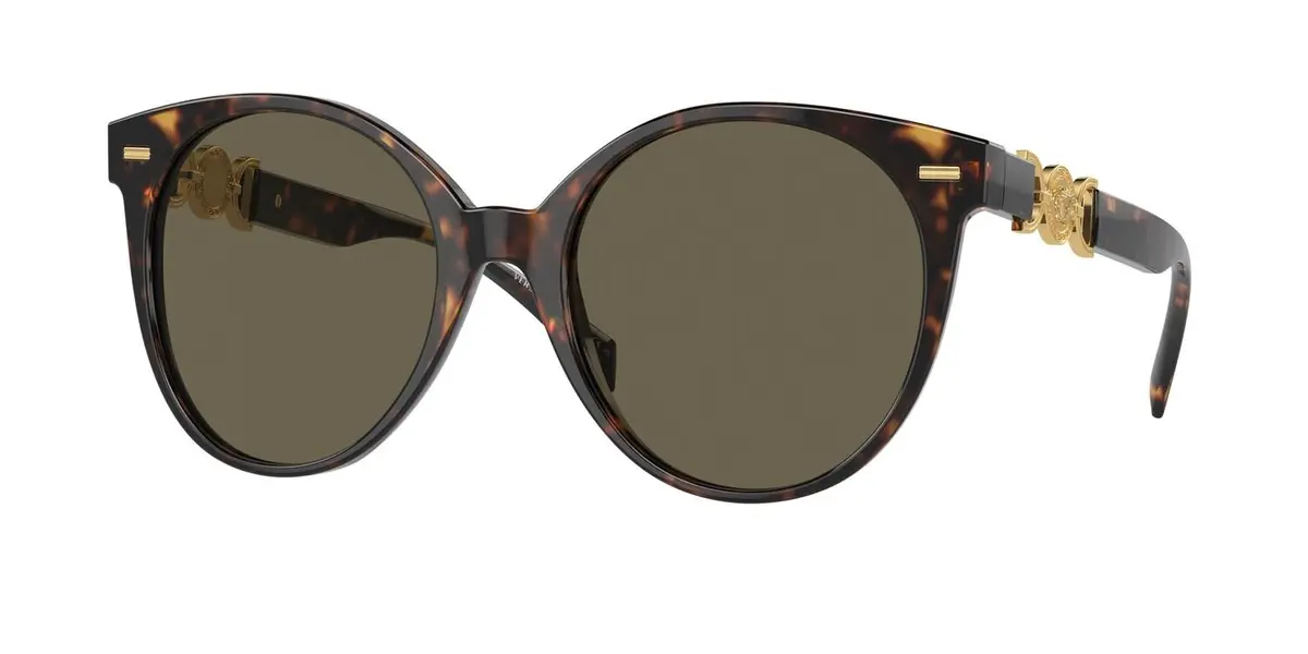 Versace 4442F Sunglasses 1