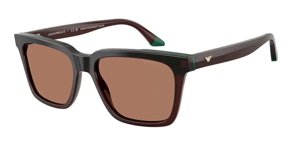 Emporio Armani 4260 Sunglasses 1