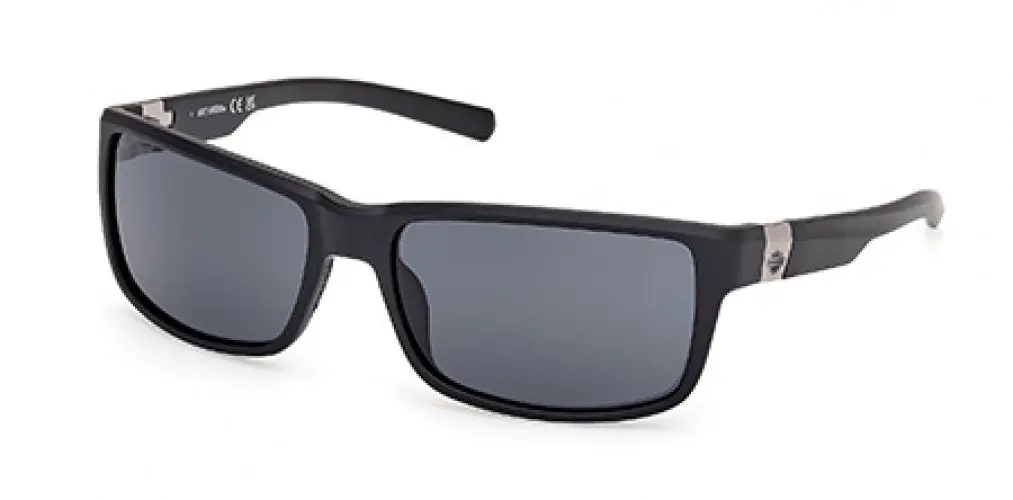 Harley-Davidson 00022 Sunglasses 1