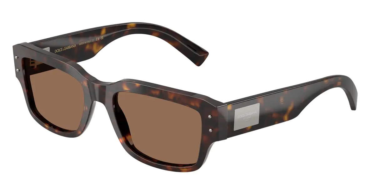 Dolce & Gabbana 4483 Sunglasses 1