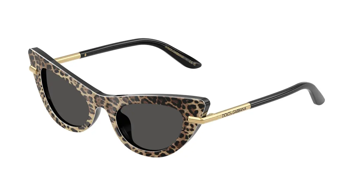 Dolce & Gabbana Kids 4008 Sunglasses 1