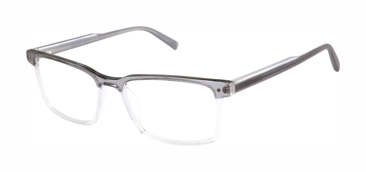 Ted Baker Txl012 Eyeglasses 1