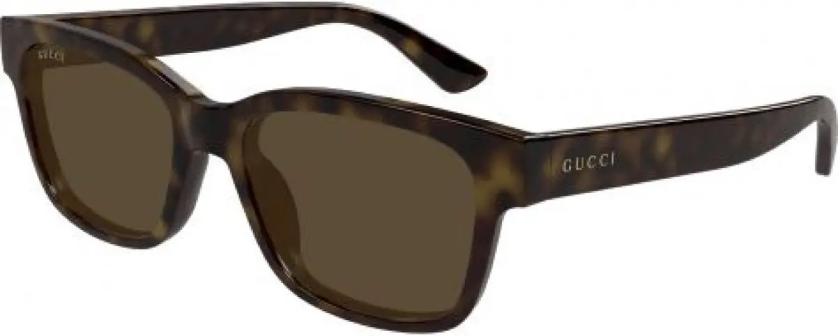 Gucci Gg1716s Sunglasses 1