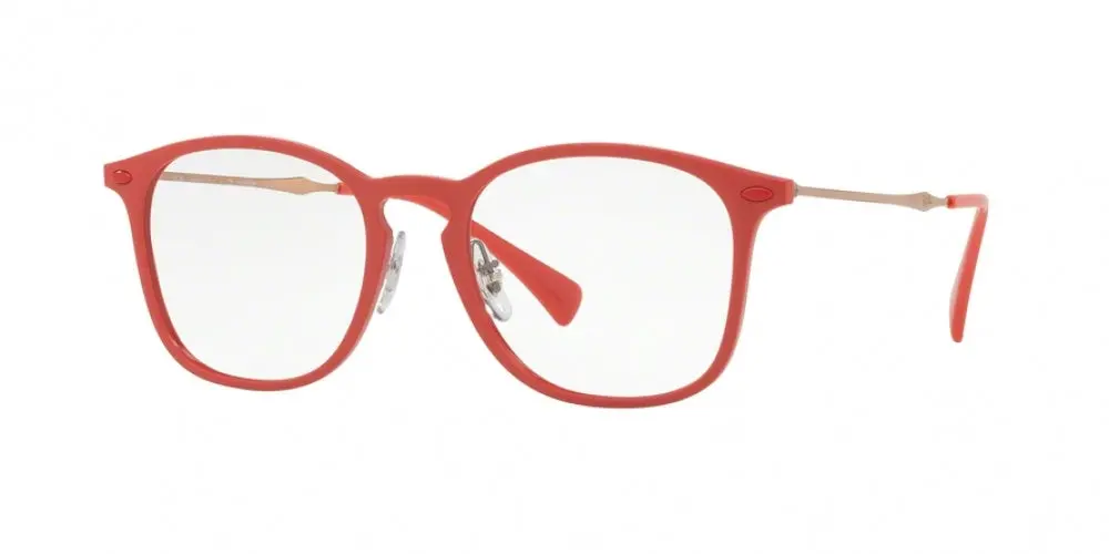 Ray-Ban 8954 Eyeglasses 1