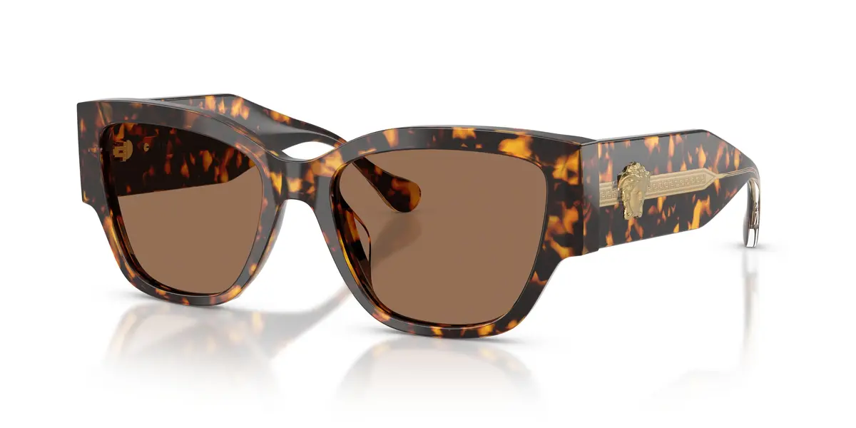 Versace 4509U Sunglasses 1