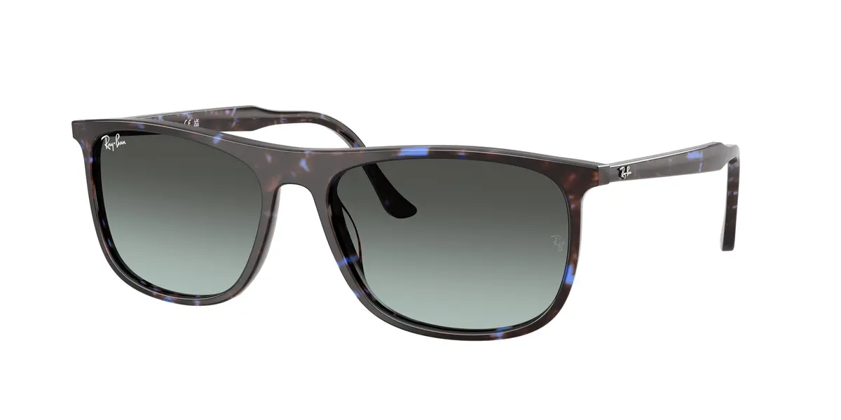 Ray-Ban 2216F Sunglasses 1