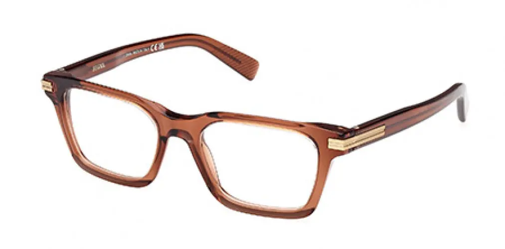 Zegna 5294 Eyeglasses 1