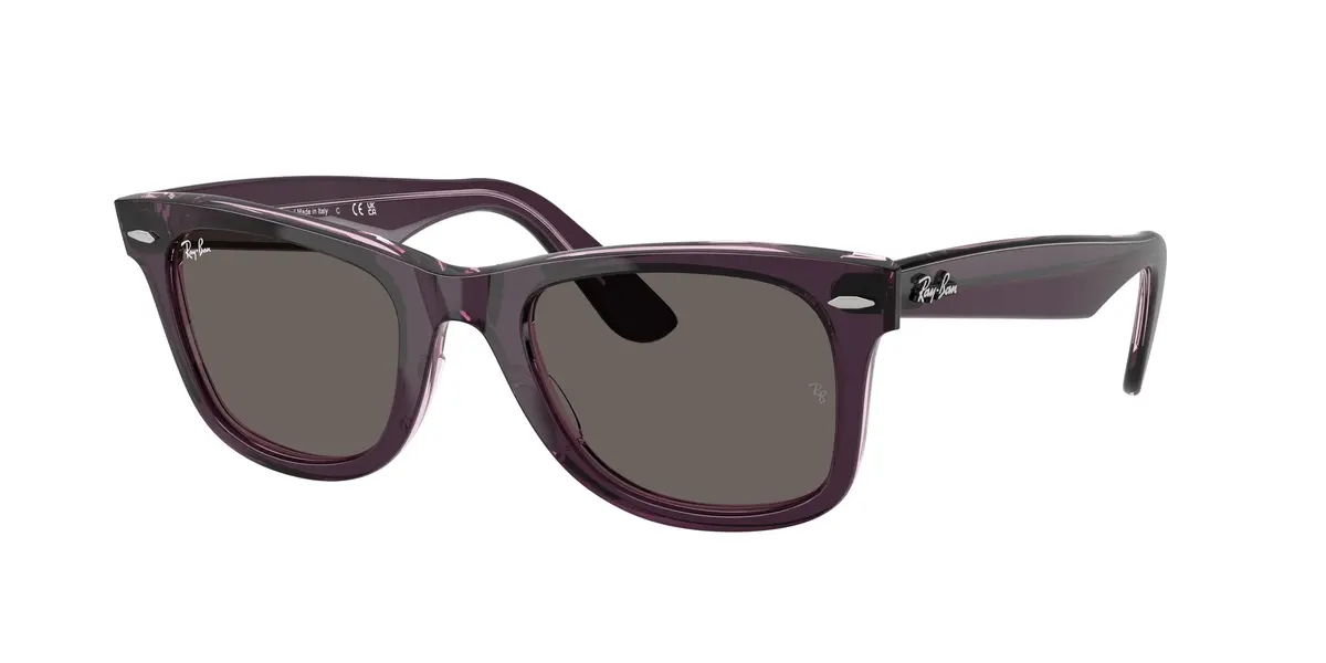Ray-Ban Wayfarer 2140 Sunglasses 1