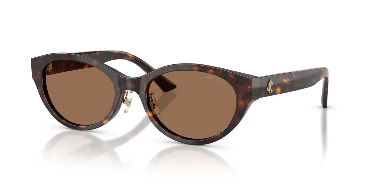 Jimmy Choo 5064D Sunglasses 1