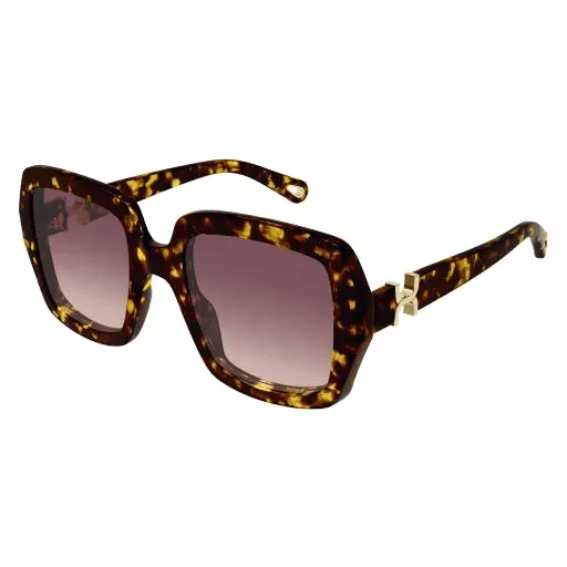 Chloe Ch0301s Sunglasses 1