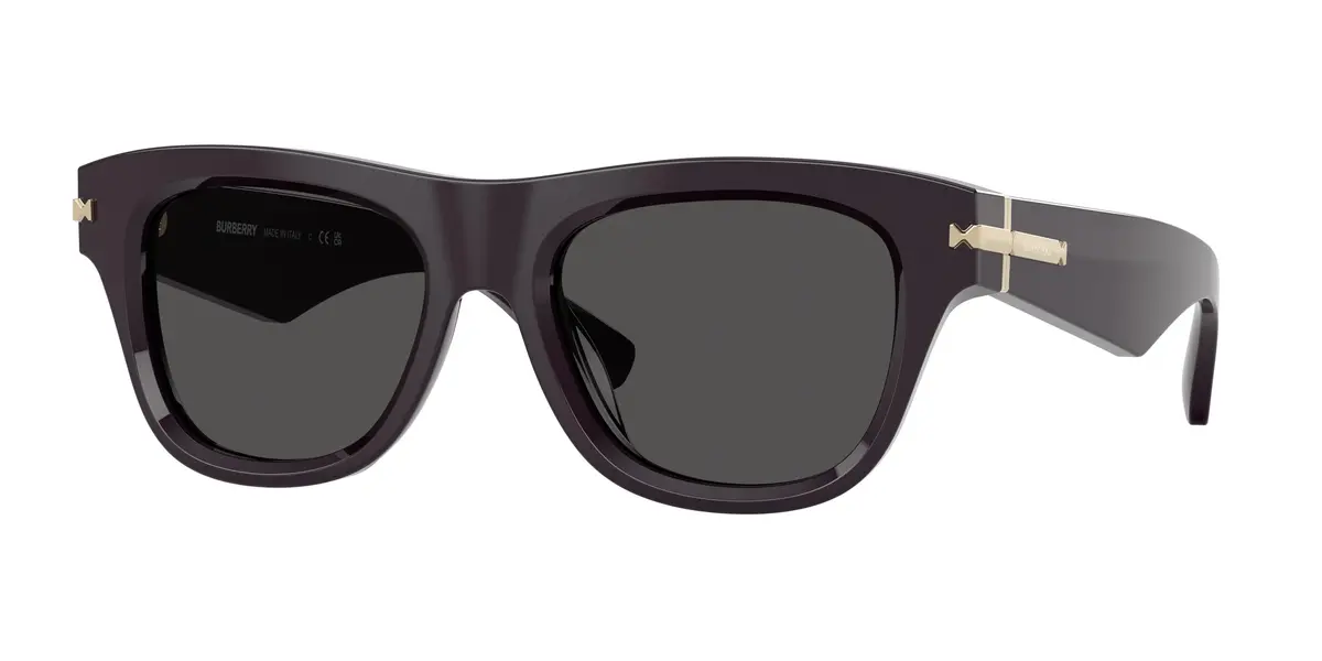 Burberry 4438U Sunglasses 1