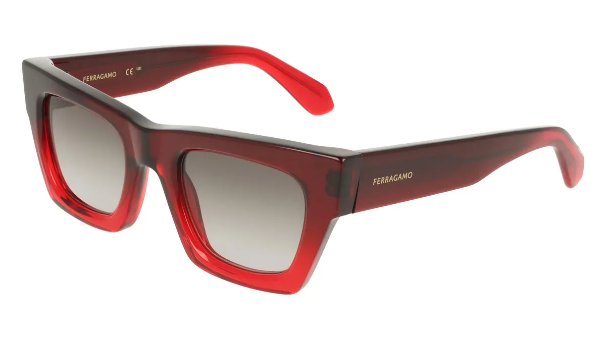 Salvatore Ferragamo Sf2105s Sunglasses 1