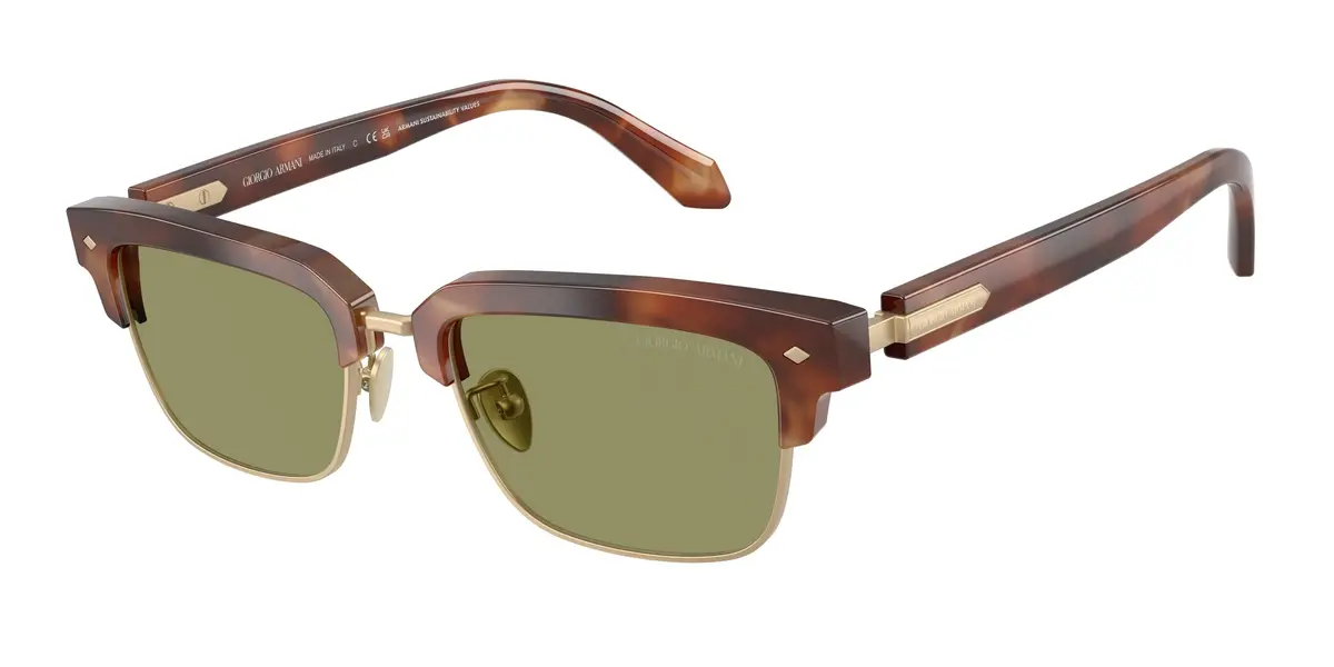 Giorgio Armani 8243 Sunglasses 1