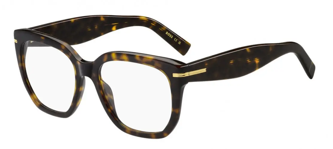 Boss (Hub) 1734 Eyeglasses 1