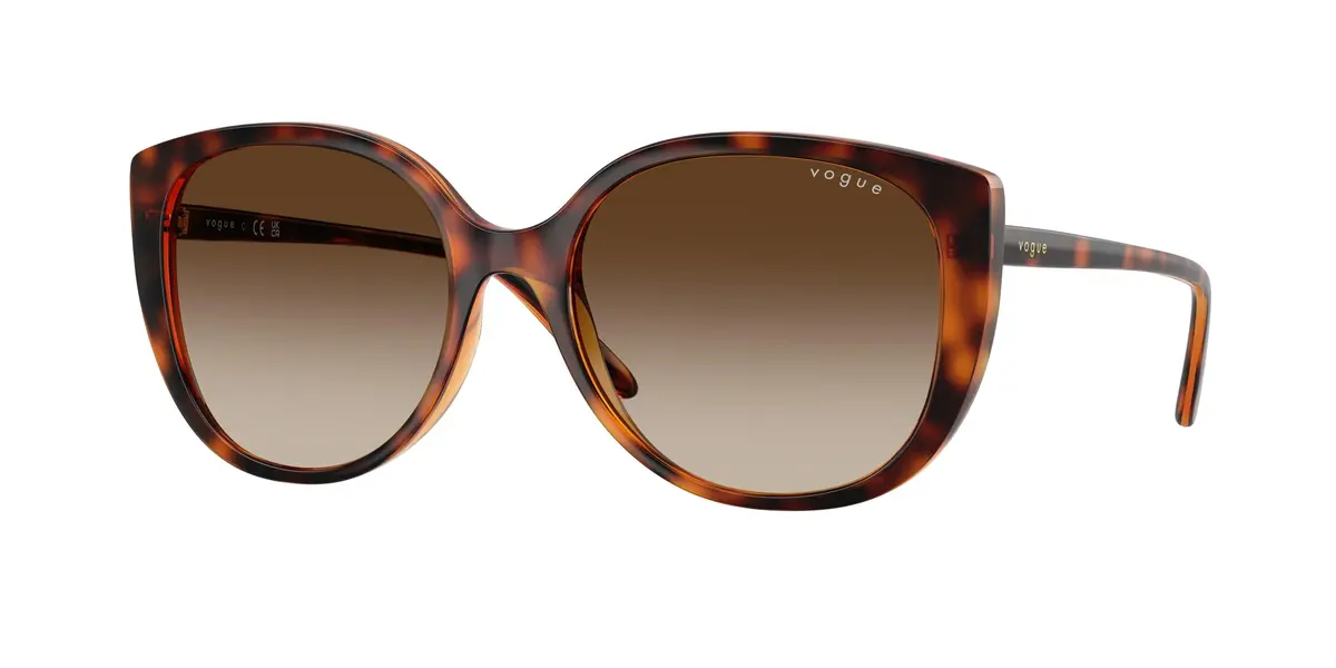 Vogue 5623S Sunglasses 1