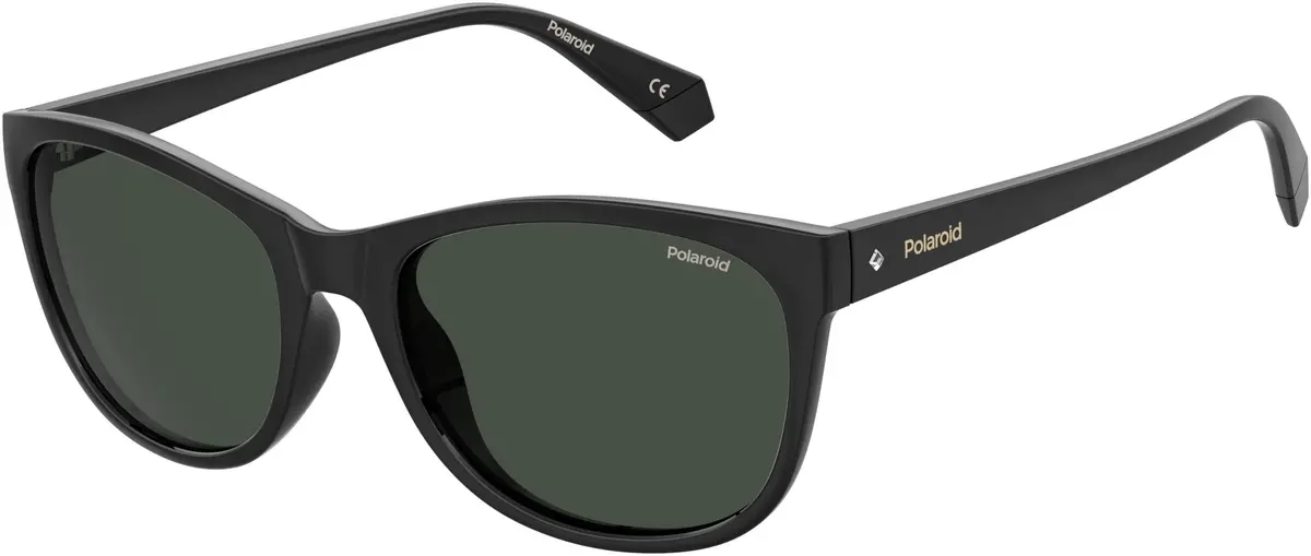 Polaroid Core Polaroid4099 Sunglasses 1