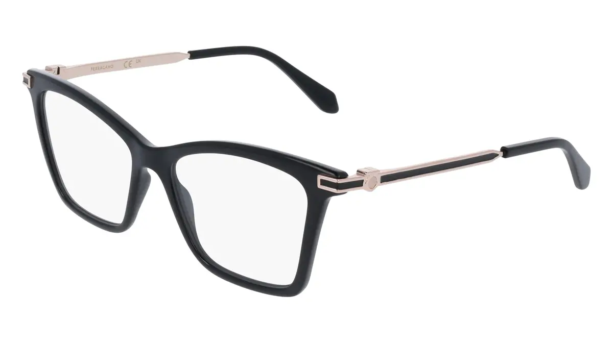 Salvatore Ferragamo Sf3024 Eyeglasses 1