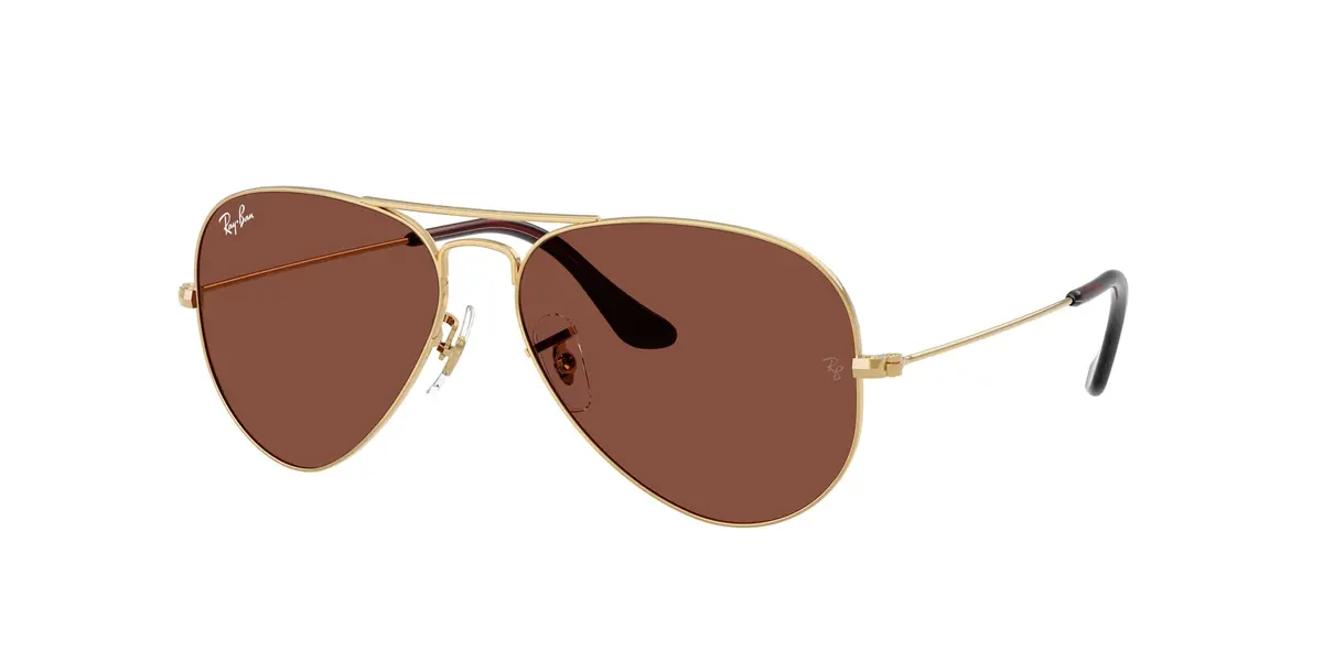 Ray-Ban Aviator 3025 Sunglasses 1