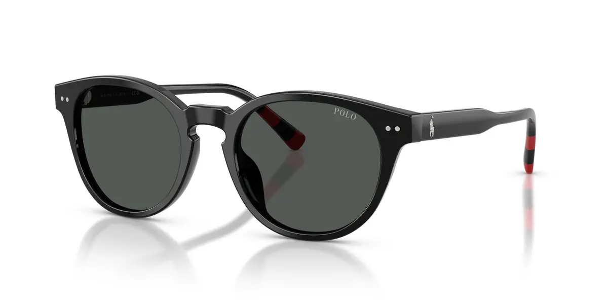 Polo 4241U Sunglasses 1