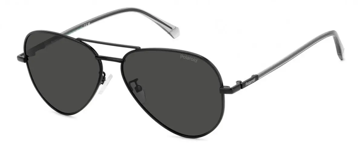 Polaroid Core Pld4186 Sunglasses 1