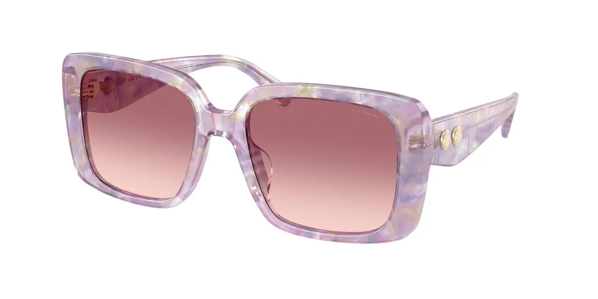 Coach Cad55 8424F Sunglasses 1