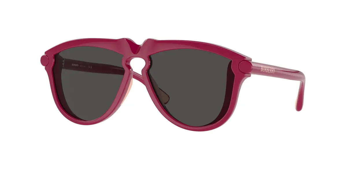 Burberry Kids 4003U Sunglasses 1