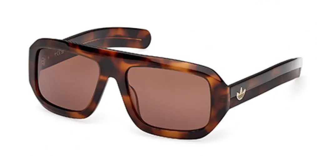 Adidas Originals 0131 Sunglasses 1