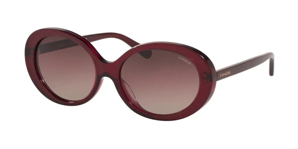 Coach L1100 8270U Sunglasses 1