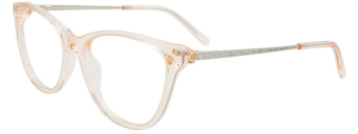 Takumi Tk1306 Eyeglasses 1