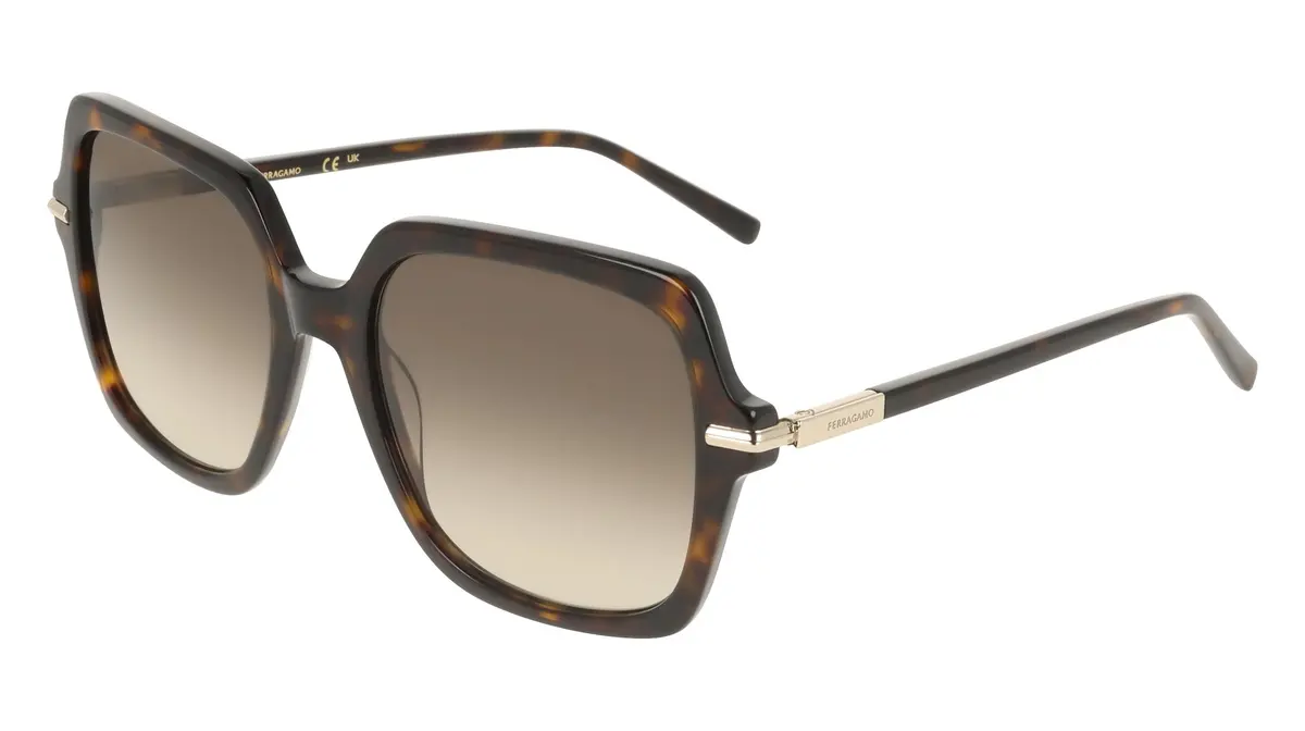 Salvatore Ferragamo Sf2076s Sunglasses 1