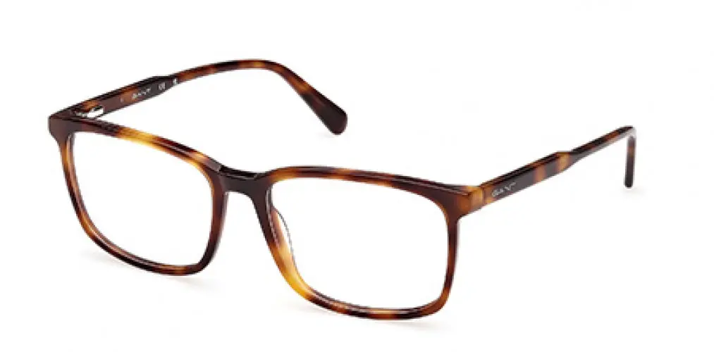 Gant 50079 Eyeglasses 1