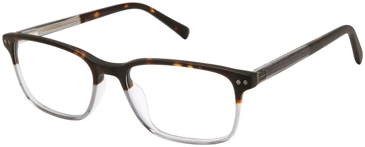 Ted Baker Tfm019 Eyeglasses 1