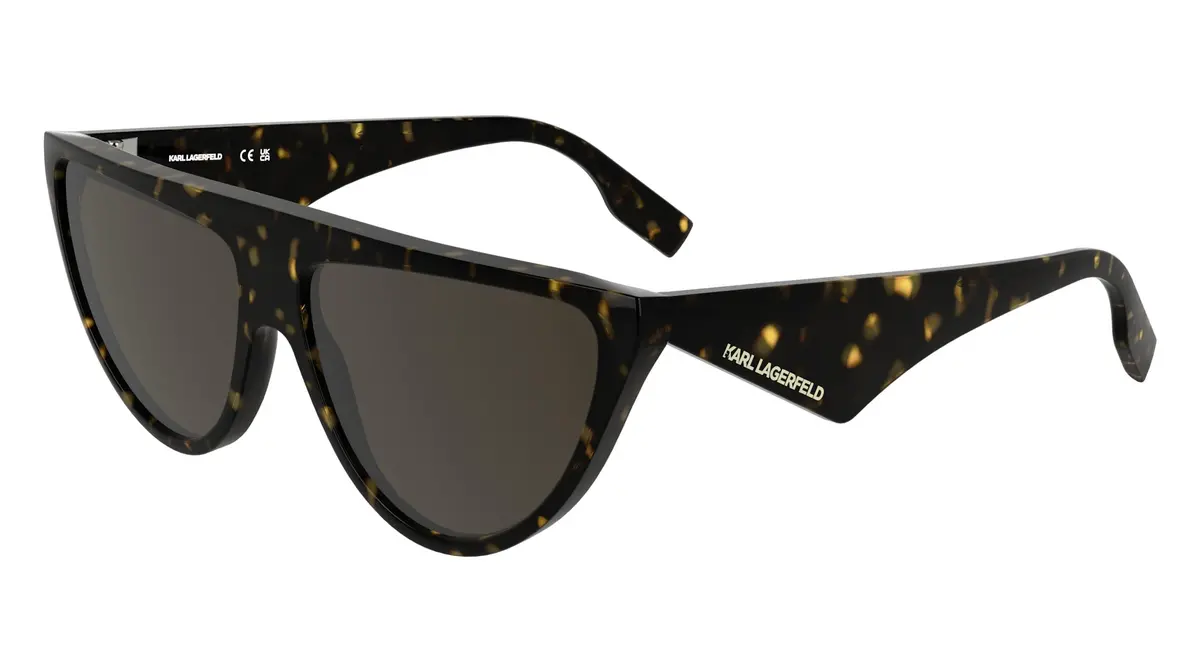 Karl Lagerfeld Kl6185s Sunglasses 1